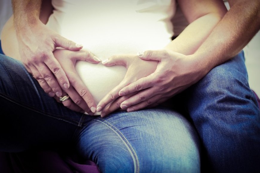Pregnancy and Infant Cohort Monitoring and Evaluation Login – Complete Guide